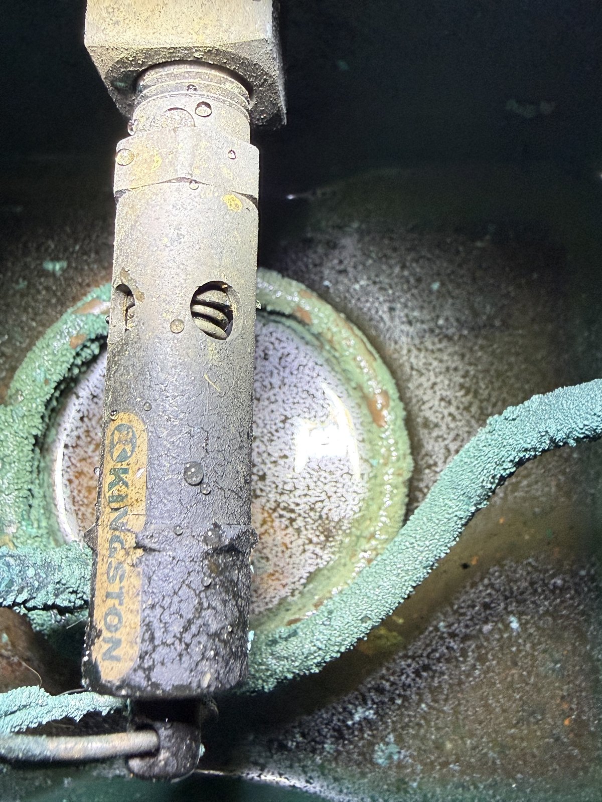 Contaminated autoclave reservoir with rusty sludge and stagnant water